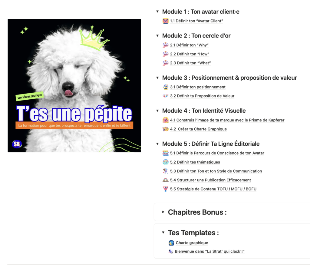 aperçu formation bootcamp instagram revaux sociaux communication digital tes une pepite chapitres et modules